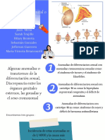 Síndrome Adrenogenital o Virilizante