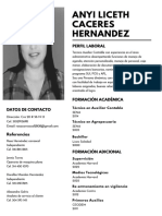 Anyi Liceth Caceres Hernandez: Perfil Laboral