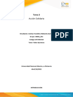 Anexo - Informe Individual Acción Solidaria