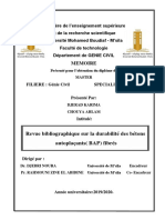 Revue Bibliographique Sur La Durabilité Des Bétons Autoplaçants (BAP) Fibrés
