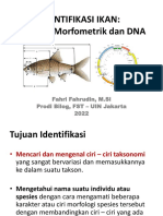 5 - Identifikasi Ikan