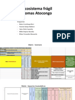 Matriz Sorensen y Acumulativo - Grupo 1 - Surichaqui