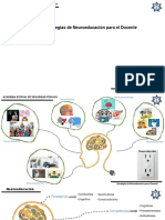 Resumen Estrategias de Neuroeducación para El Docente