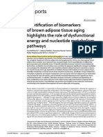 Identification of Biomarkers of Brown Adipose Tissue Aging Highlights The Role of Dysfunctional Energy and Nucleotide Metabolism Pathways