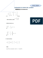 PRÁCTICA 06_Determinante de una matriz - Sistema de ecuaciones lineales - Método de eliminación de Gauss-Jordan
