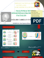 Malformaciones Congenitas Craneofaciales - Facultad de Medicina Humana-Unap