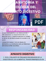 21 - B - Anatomia y Fisiologia Del Aparato Digestivo - Uci