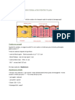 CONDUCEREA ATRIOVENTRICULARA