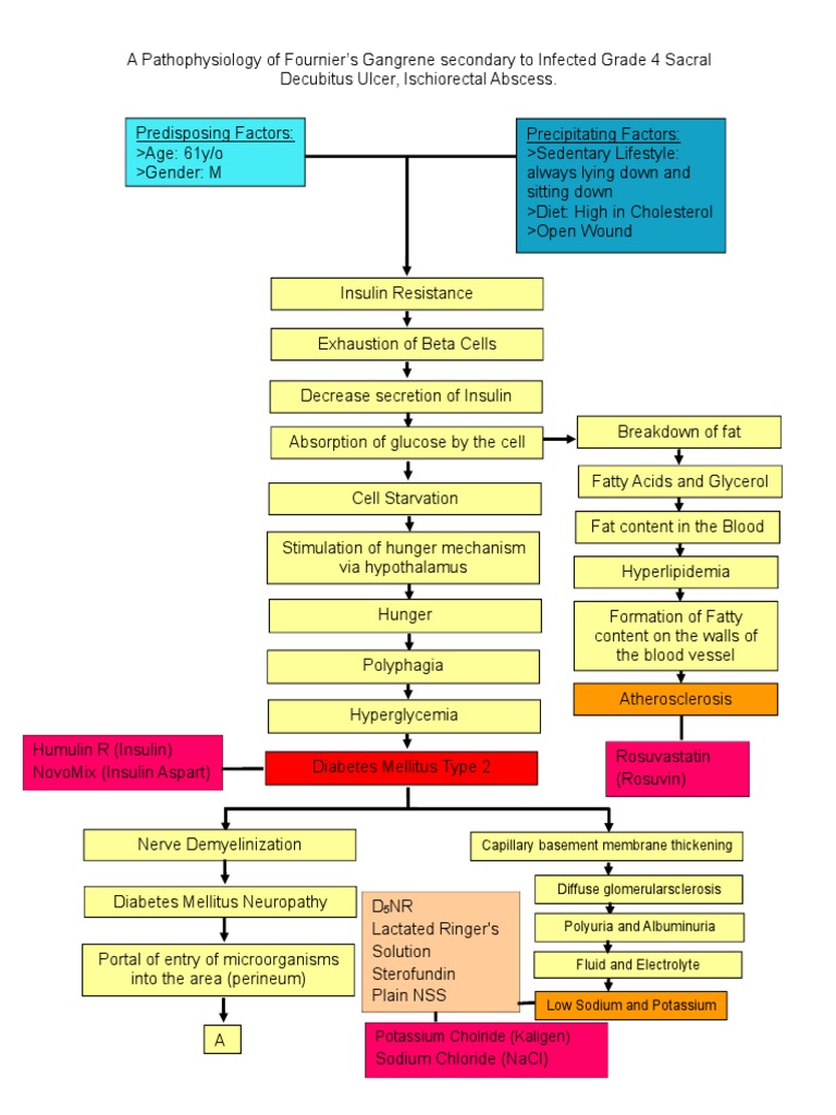 Fournier's Gangrene Pathophysiology PDF Skin Insulin