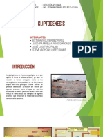 Diapositivas - Gliptogenesis Grupo 4