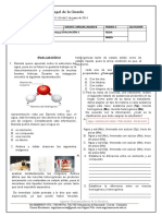 EVALUACIÓN TIPOS DE MATERIA