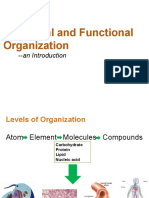 Structural and Functional Organization: - An Introduction