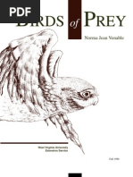 Download Bird Prey by Hector Alejandro Gomez SN57528745 doc pdf