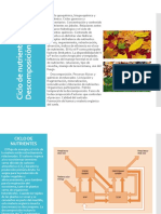 EF Ciclo de Nutrientes y Descomposición 2021