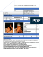 Fichas de Inspeccion Arneses