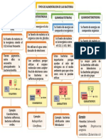 Alimentacion Bacteriana