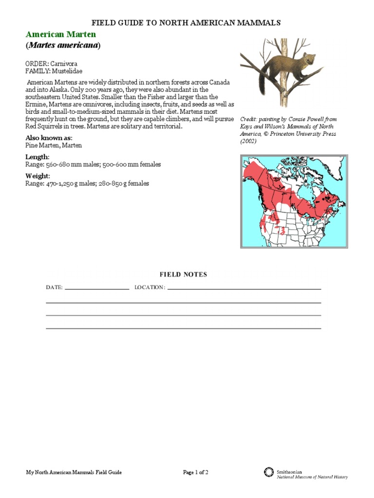 Field Guide PDF