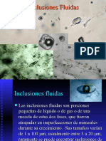 Clase_11_2004_Inclusiones_Fluidas