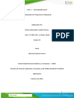 Fase 1 - Conceptulaización-Formulación de Proyectos