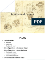 Anatomie Du Coeur Fmpos 2019