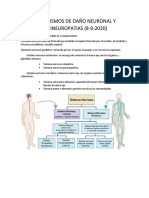 2daño Neuronal, Dolor