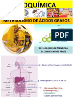 Metabolismo de Lipidos-Digestion-Sintesis-Degradacion