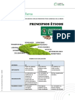 Anexo - Tarea Ciudadania Organizador - Santiago Carrera