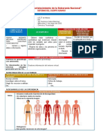 11 Mier CYT SISTEMAS DEL CUERPO HUMANO