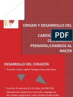 Desarrollo Cardiovascular-Cir. Prenatal