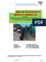 Informe Ambiental Nº1