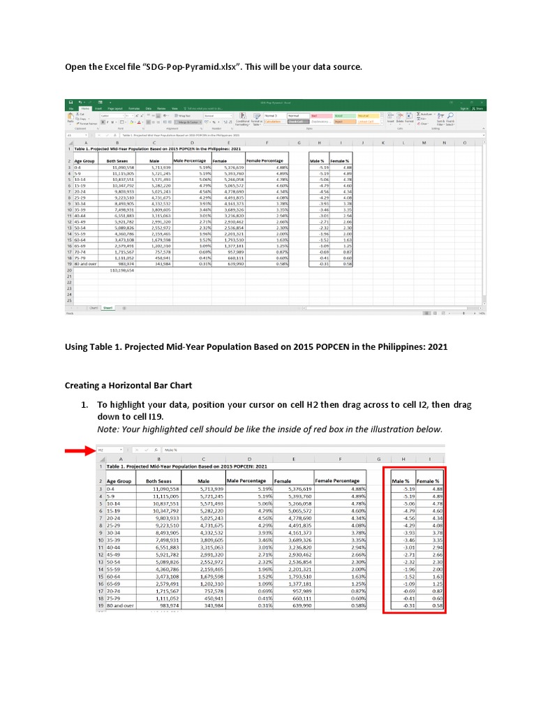 Population Pyramid - Step by Step Guide | PDF | Chart | Microsoft Excel