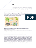 Materi Tentang Klorofil