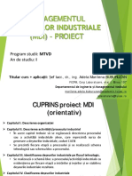 Cuprins Proiect MDI