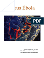 Vírus Ébola - Ana
