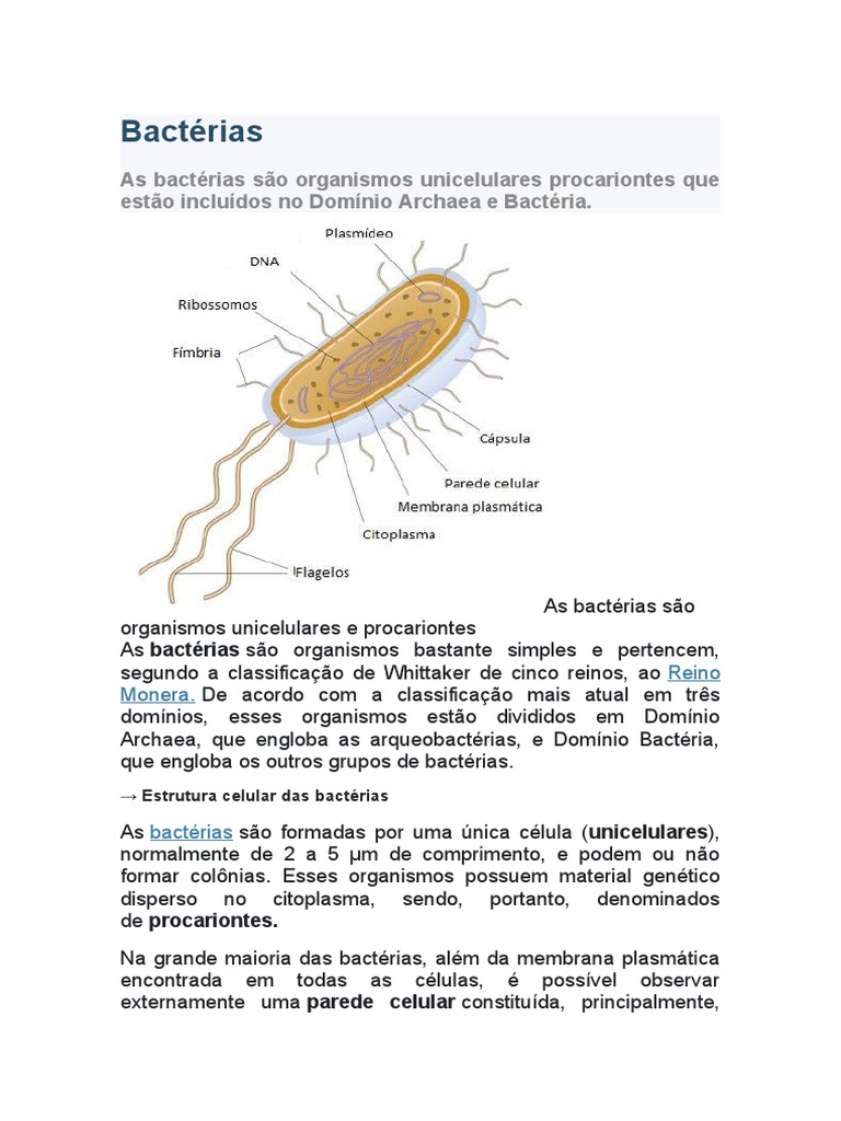 Estrutura e Tipos de Bactérias | PDF | Célula (Biologia) | Bactérias
