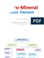 Mikro Mineral Trace Element