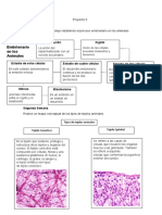 Proyecto 5, 6 y 7 de Biología