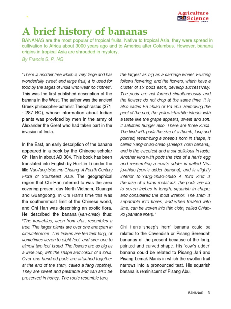 A Brief History of Bananas by Francis S. P. NG PDF Banana Plants