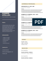 215 Curriculum Vitae Plantilla CV Word Gratis