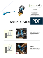 Sprinter Auto Arcuri Auxiliare Catalog