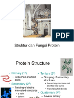 Struktur Dan Fungsi Protein 2019