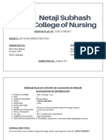 Seminar Plan On: "King'S Theory" Subject: Advance Nursing Practice Submitted To: Submitted by