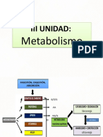 Unidad 3 Metabolismo