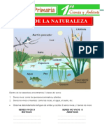 Anexo Ciencias Naturales Guia 1