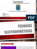 Técnicas Electroforéticas
