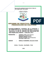 Informe de Practica Modular 1-SMITH HERRERA - Cultivo de Papa