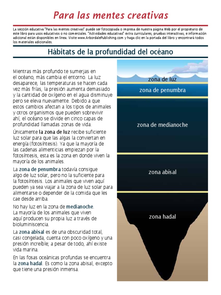 DayDeep ES FCM | PDF | Fotosíntesis | Oceanografía, image size:768x1024