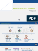 Embriolog ¡A Humana 6