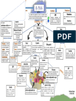 Mapa Biología 1