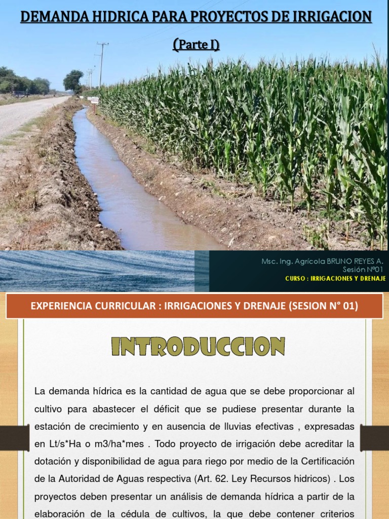 Demanda Hídrica en Proyectos de Riego | PDF | Evapotranspiración | Riego